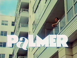 Palmer (1991) 