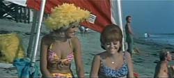 It's A Bikini World - 1967