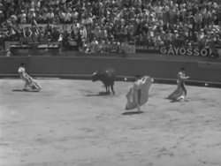 Bullfighter And The Lady - 1951