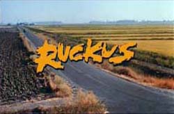 Ruckus - 1981