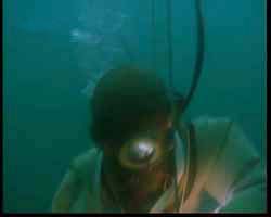 Submerged - 2001