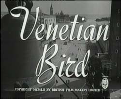 Venetian Bird - 1952