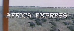 Africa Express - 1976
