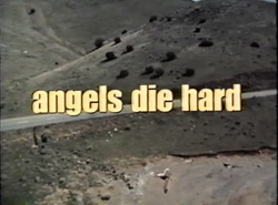 Angels Die Hard - 1970