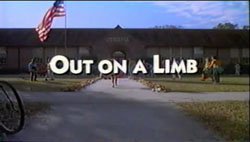 Out On A Limb - 1992