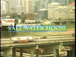 Salt Water Moose (1996) 