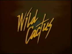 Wild Cactus - 1993